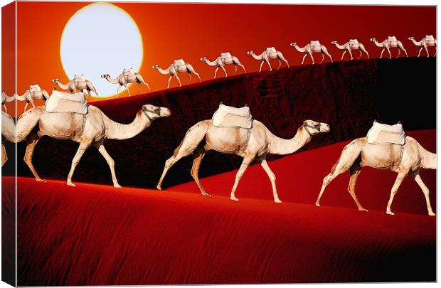 Camel Train Canvas Print by Anthony Michael 
