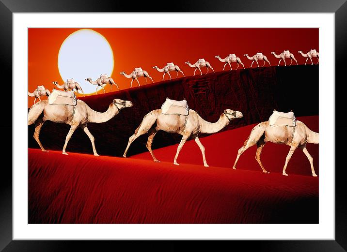 Camel Train Framed Mounted Print by Anthony Michael 