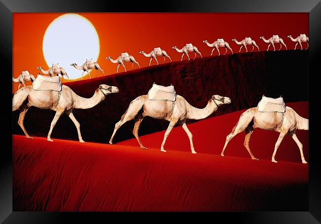 Camel Train Framed Print by Anthony Michael 