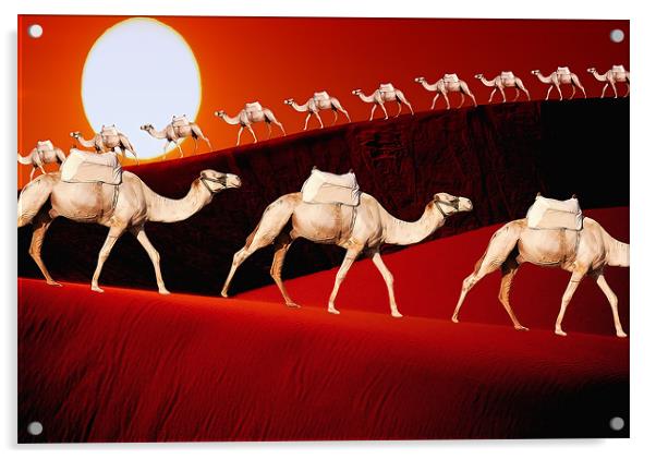 Camel Train Acrylic by Anthony Michael 