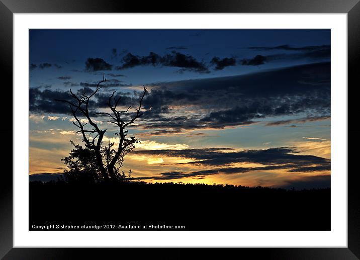 Tree at sunset 1 Framed Mounted Print by stephen clarridge