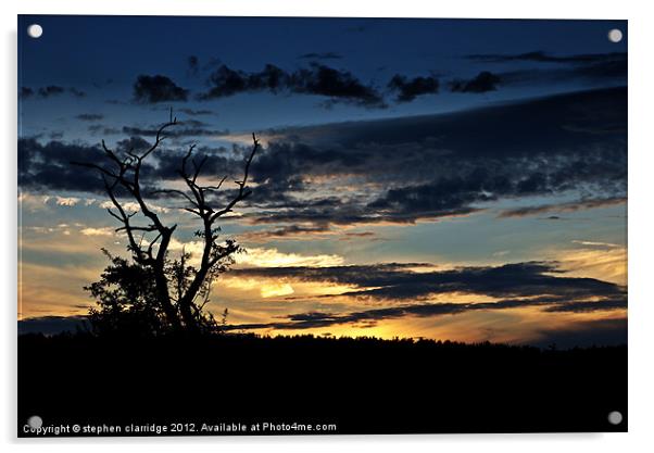 Tree at sunset 1 Acrylic by stephen clarridge