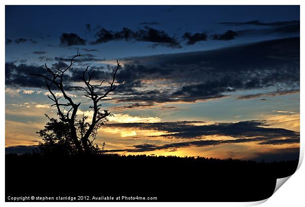 Tree at sunset 1 Print by stephen clarridge