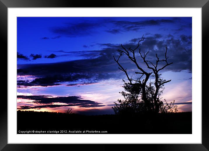 Tree at sunset 2 Framed Mounted Print by stephen clarridge