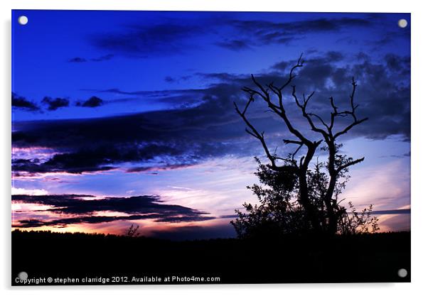 Tree at sunset 2 Acrylic by stephen clarridge