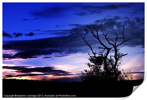 Tree at sunset 2 Print by stephen clarridge