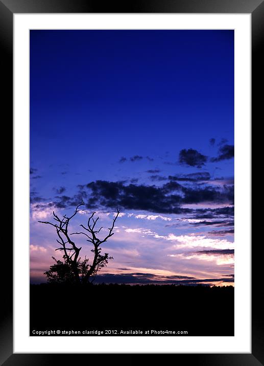 Tree at sunset 3 Framed Mounted Print by stephen clarridge