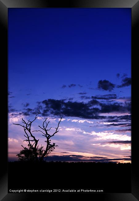 Tree at sunset 3 Framed Print by stephen clarridge