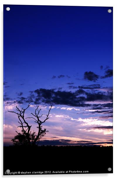 Tree at sunset 3 Acrylic by stephen clarridge