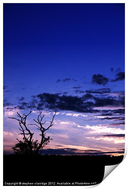 Tree at sunset 3 Print by stephen clarridge