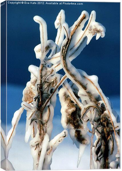 Ice Covered Weeds Canvas Print by Eva Kato