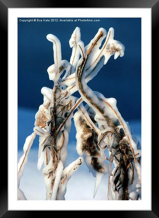 Ice Covered Weeds Framed Mounted Print by Eva Kato