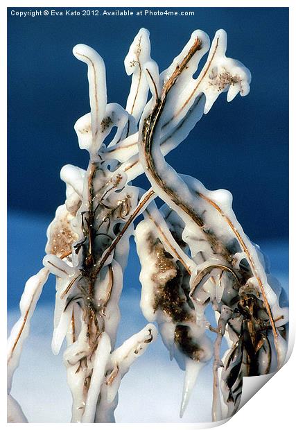 Ice Covered Weeds Print by Eva Kato