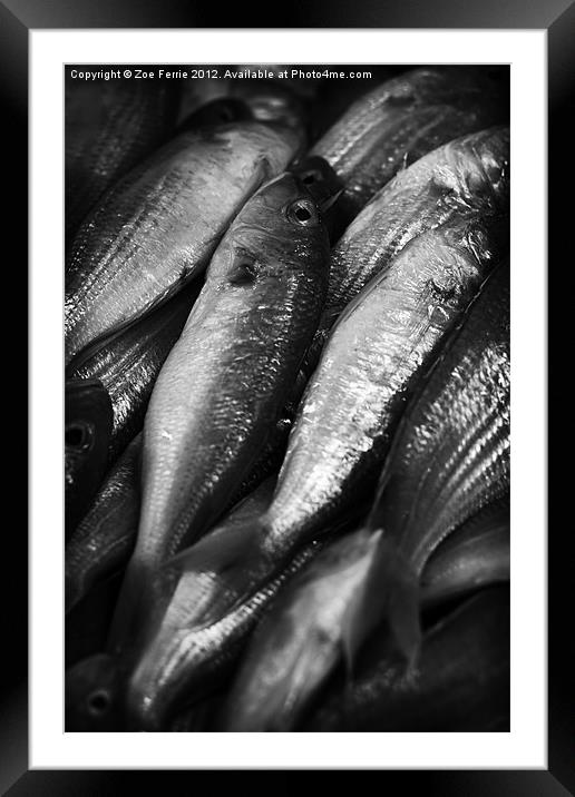 Fresh fish at the Market Framed Mounted Print by Zoe Ferrie