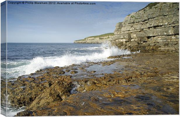 Wave on the rocks Canvas Print by Phil Wareham