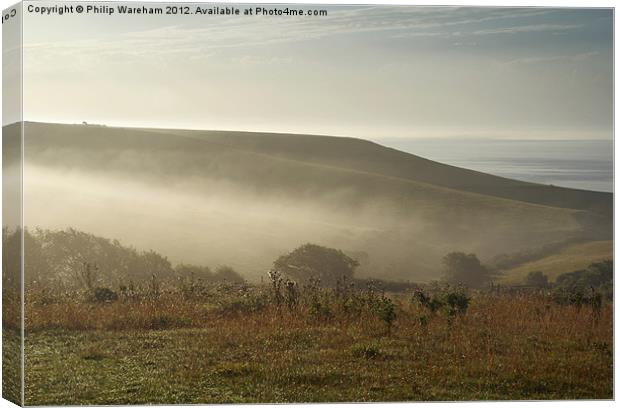 Mist in the valley Canvas Print by Phil Wareham