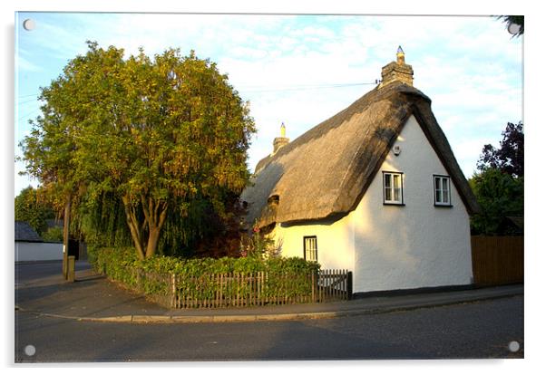 Melbourn cottage Acrylic by John Boekee