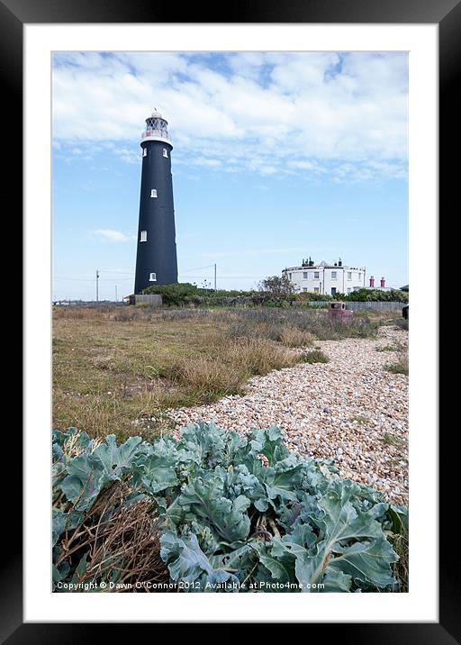 Dungeness Lighthouse Framed Mounted Print by Dawn O'Connor
