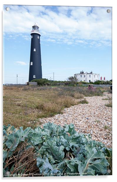 Dungeness Lighthouse Acrylic by Dawn O'Connor