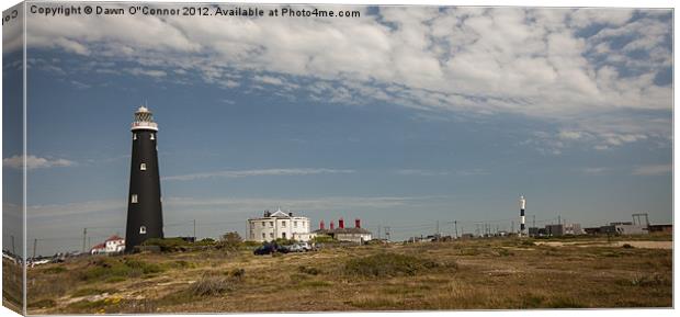 Dungeness Landscape Canvas Print by Dawn O'Connor