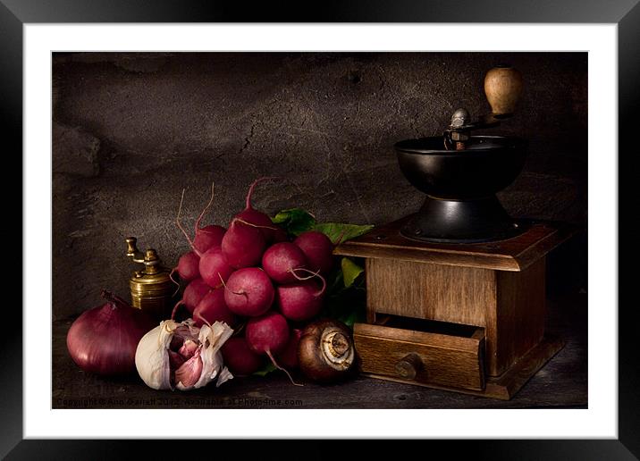 Garlic and Radishes Framed Mounted Print by Ann Garrett
