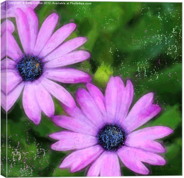 Blue-eyed Daisies Canvas Print by Betty LaRue
