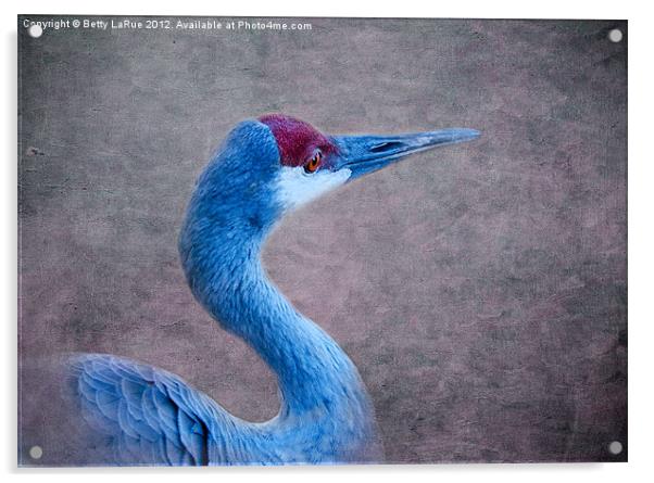 Beautiful in Blue Acrylic by Betty LaRue