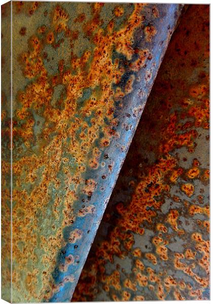 abstract rust Canvas Print by Heather Newton