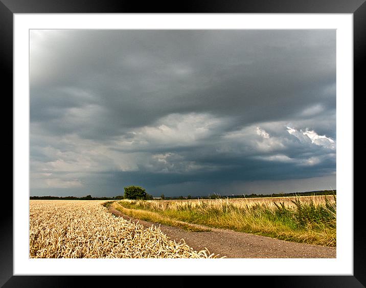 Summer Storm Framed Mounted Print by Sam Jowett