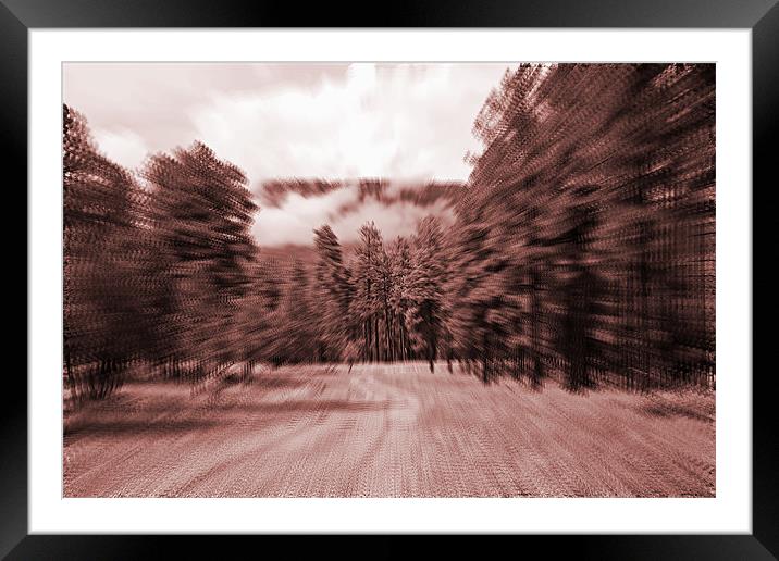 zoom blur forest Framed Mounted Print by Isabel Antonelli