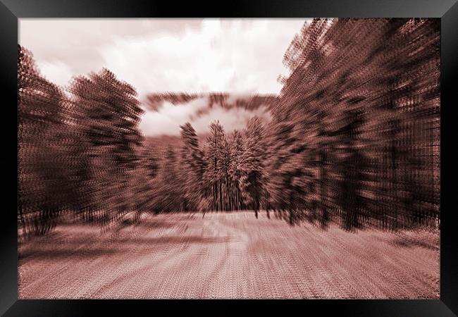 zoom blur forest Framed Print by Isabel Antonelli
