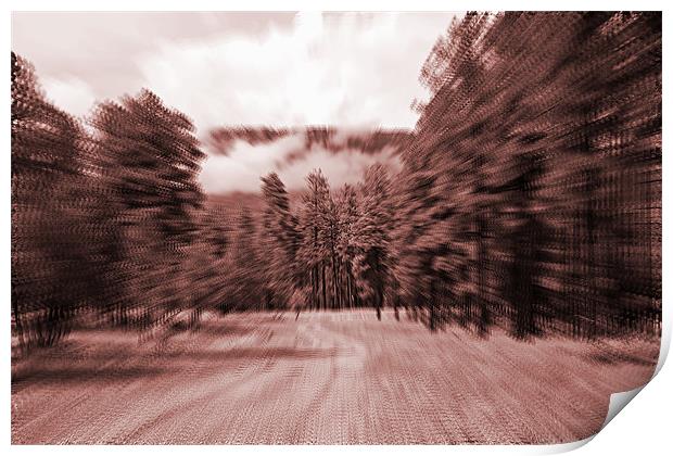 zoom blur forest Print by Isabel Antonelli