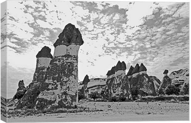 Rock formation beauty spot Cappadocia Canvas Print by Arfabita  