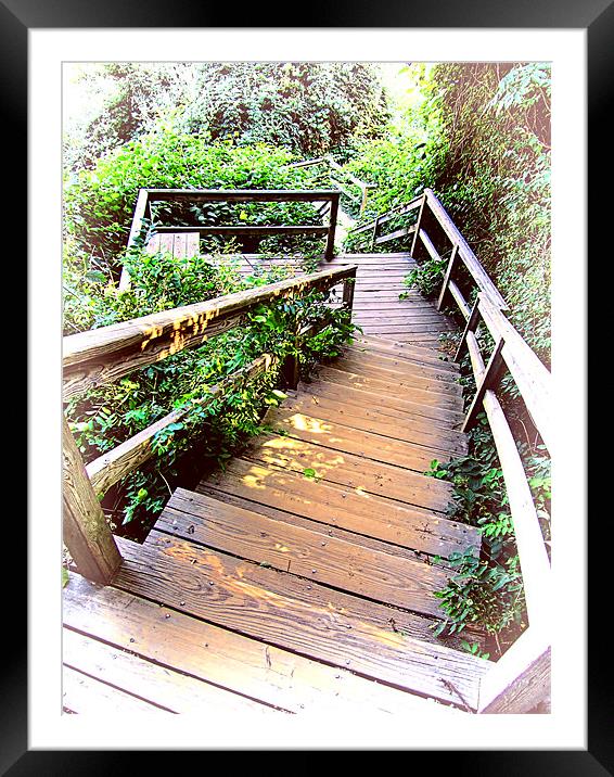 Angular Wooden Stairs Framed Mounted Print by Mark Sellers