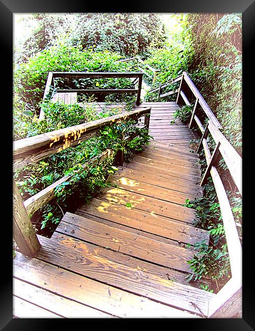 Angular Wooden Stairs Framed Print by Mark Sellers