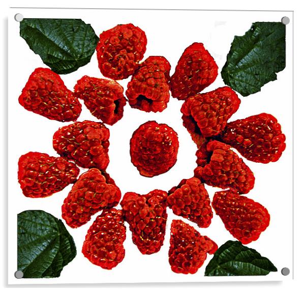 Raspberries on White Acrylic by Derek Vines