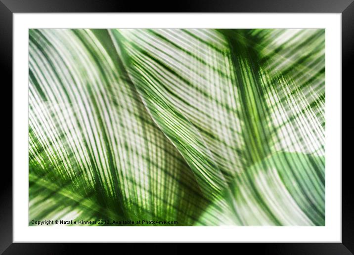 Nature Leaves Abstract in Green Framed Mounted Print by Natalie Kinnear