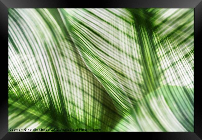 Nature Leaves Abstract in Green Framed Print by Natalie Kinnear