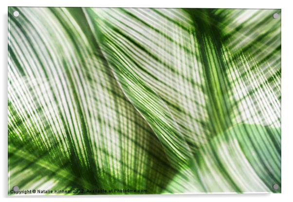 Nature Leaves Abstract in Green Acrylic by Natalie Kinnear