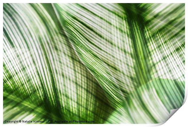 Nature Leaves Abstract in Green Print by Natalie Kinnear