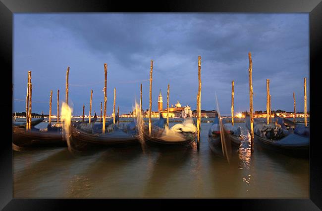 gondolas in Venice Framed Print by peter schickert