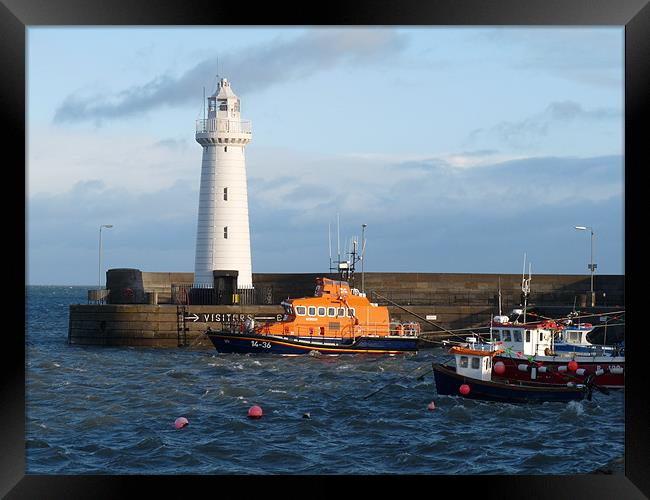 Donaghadee Lighthouse Framed Print by Noreen Linale