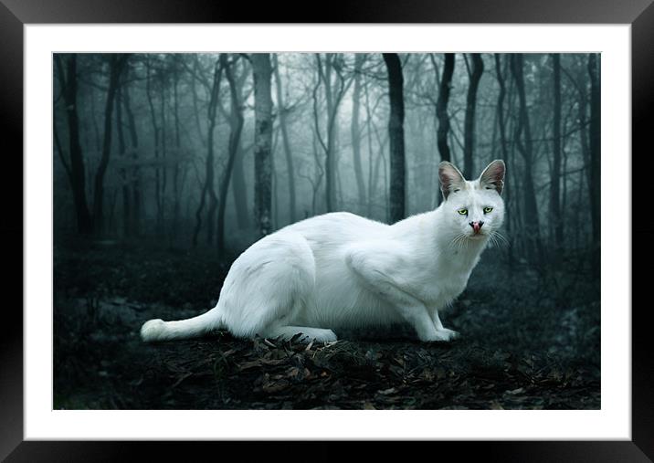 Tonga Framed Mounted Print by Big Cat Rescue