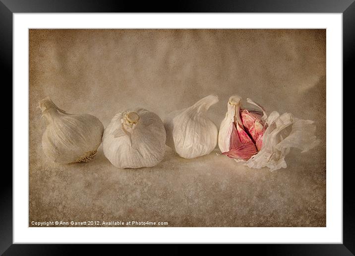 Garlic and Textures Framed Mounted Print by Ann Garrett