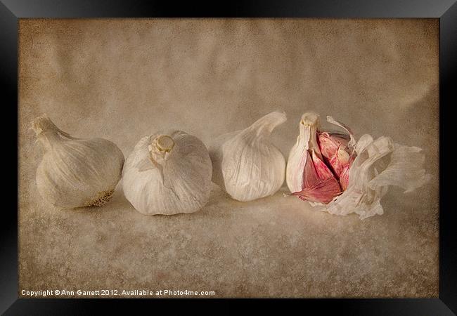 Garlic and Textures Framed Print by Ann Garrett