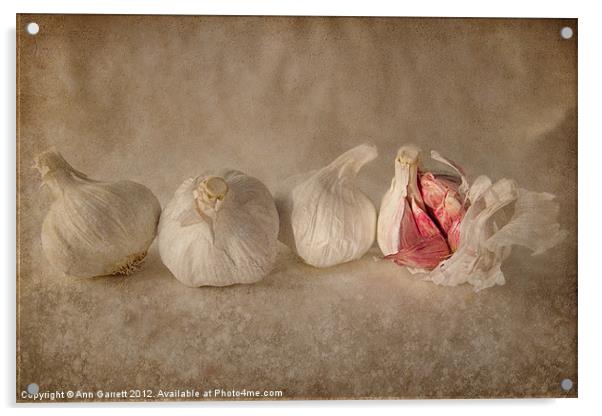 Garlic and Textures Acrylic by Ann Garrett