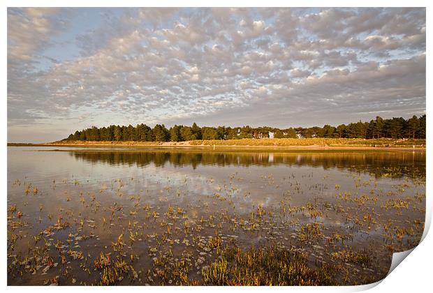 Holkham Reflections Print by Paul Macro