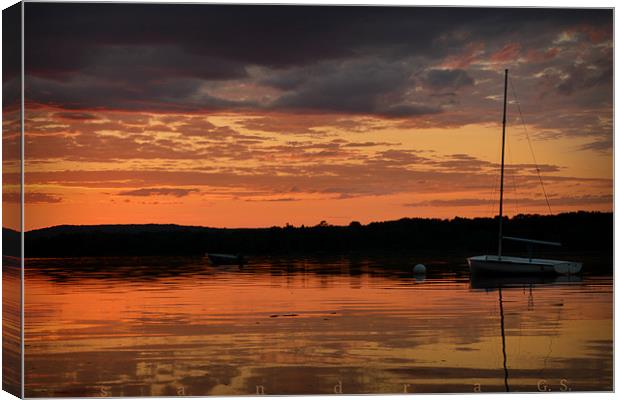 Sailor's Delight Canvas Print by Sandy Sellers