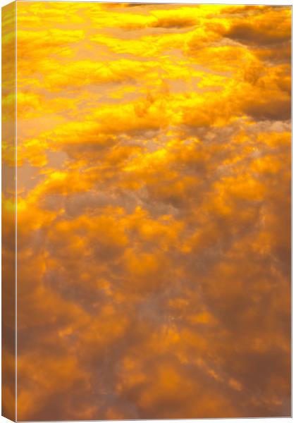 Tangerine sky Canvas Print by David Pyatt