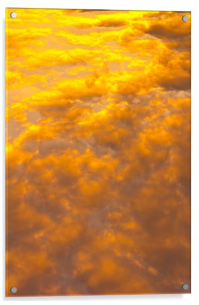 Tangerine sky Acrylic by David Pyatt